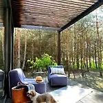 Przeszklony Tiny House W Lesie * Tomczyn