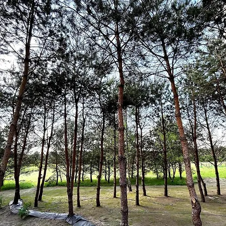 Przeszklony Tiny House W Lesie *