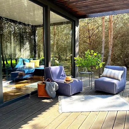 Przeszklony Tiny House W Lesie Tomczyn