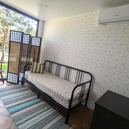 Przeszklony Tiny House W Lesie